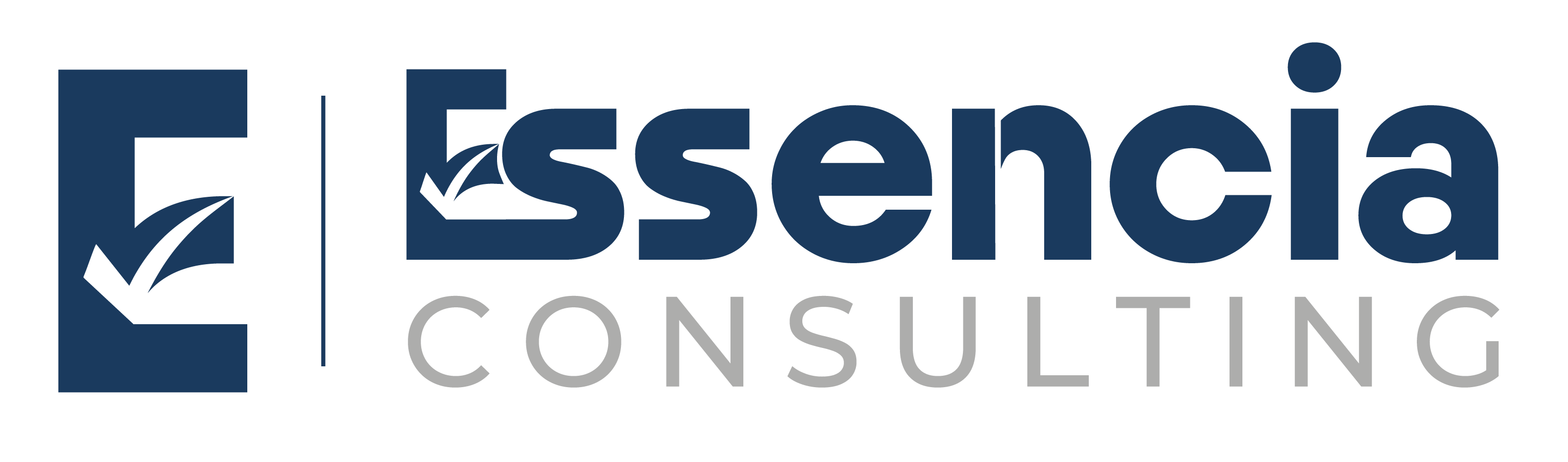 Essencia SA Consulting